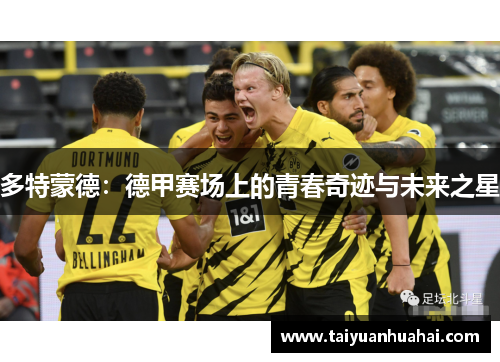 多特蒙德:德甲赛场上的青春奇迹与未来之星 多特蒙德:德甲赛场上的青春奇迹与未来之星