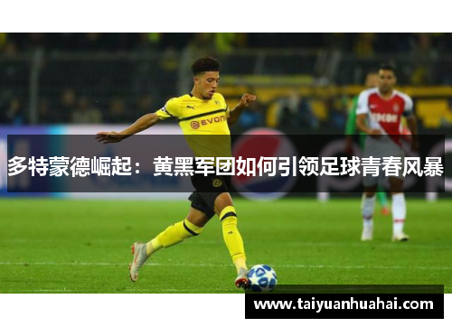 多特蒙德崛起:黄黑军团如何引领足球青春风暴 多特蒙德崛起:黄黑军团如何引领足球青春风暴